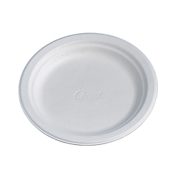Chinet Plate White 9.75"